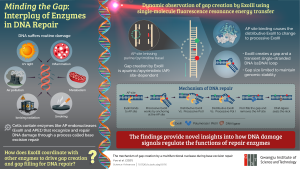 New publication has been published in Science Advances 이미지