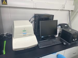 Quantitative Polymerase Chain Reaction (QPCR) Bio rad 이미지