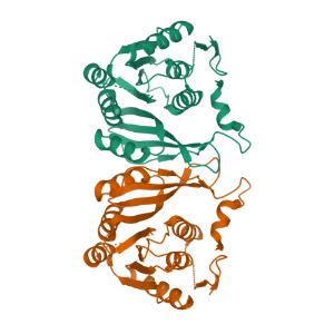 TrmM from Mycoplasma capricolum in apo and SAH-bound state 이미지