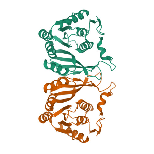 TrmM from Mycoplasma capricolum in apo and SAH-bound state 이미지