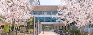 Test 이미지