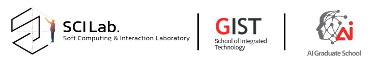 Soft Computing & Interaction Laboratory