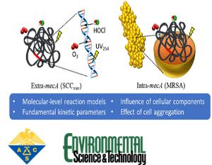 Degradation Kinetics of Antibiotic Resistance Gene mecA of Methicillin-Resistant Staphylococcus aureus (MRSA) during Water Disinfection with Chlorine, Ozone, and Ultraviolet Light