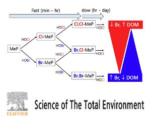 Transformation of methylparaben during water chlorination: Effects of bromide and dissolved organic matter on reaction kinetics and transformation pathways