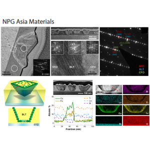 Reversible magnetoelectric switching in multiferroic three-dimensional nanocup heterostructure films