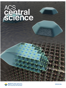 Reversible Decomposition of Single-Crystal Methylammonium Lead Iodide Perovskite Nanorods