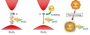 Oxygen vacancy levels mediated photophysical pathways of NIR-II responsive broadband upconversion