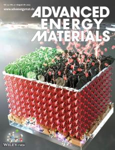 14. Suppression of Undesired Losses in Organometal Halide Perovskite-Based Photoanodes for Efficient Photoelectrochemical Water Splitting (press release)