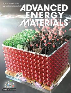 93. Suppression of Undesired Losses in Organometal Halide Perovskite-Based Photoanodes for Efficient Photoelectrochemical Water Splitting (Press release & selected as a front cover)